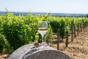Francés Para La Industria Del Turismo