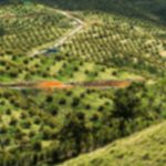 UNAD - Maestría en Cambio Climático y Gestión del Riesgo de Desastres